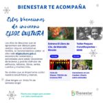 Estas Vacaciones de invierno ELIGE CULTURA